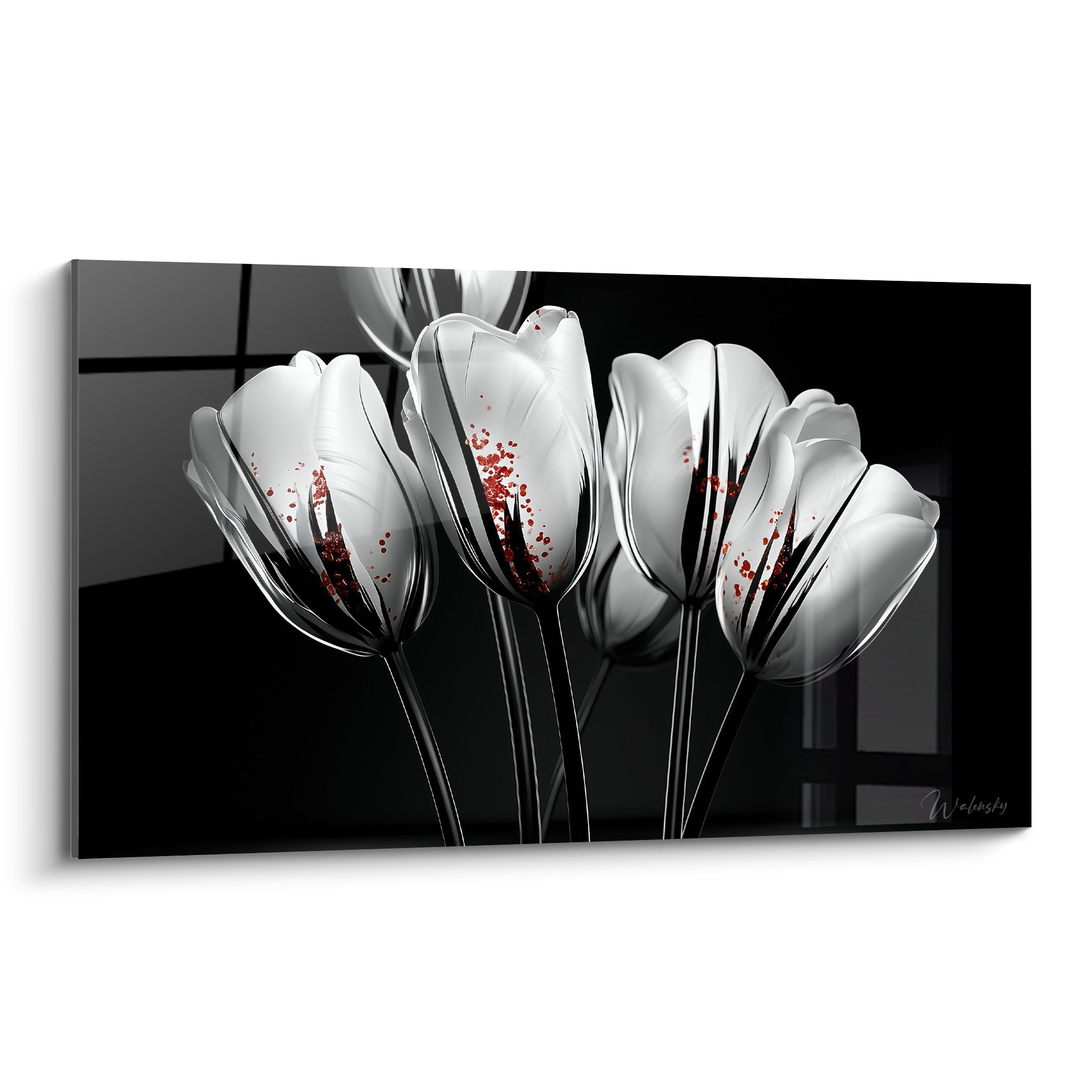 Tulipes blanches aux nervures noires et éclaboussures rouges sur fond anthracite profond