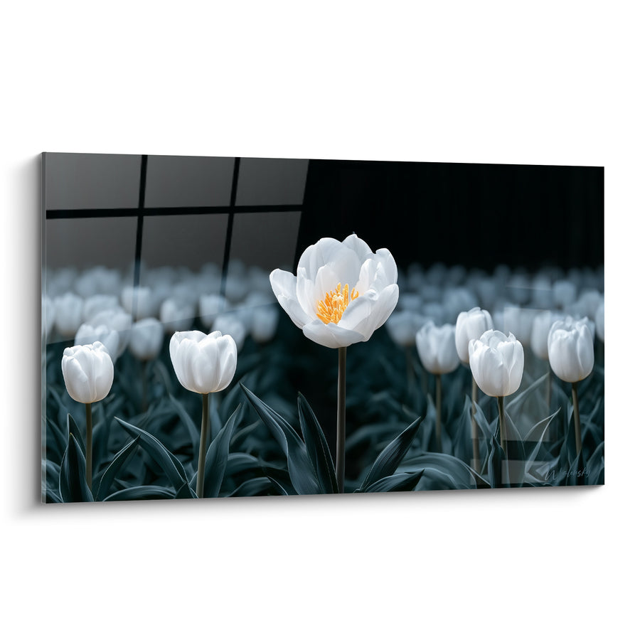 Tableau Fleur blanche épanouie au cœur doré - Éveil singulier - Edition Tulipe
