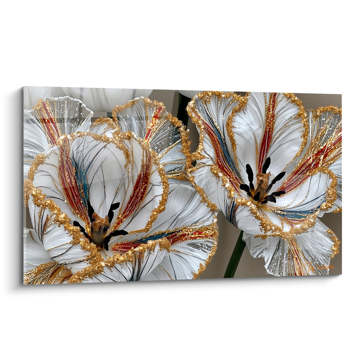 Tulipes blanches aux nervures rouges et bleues, bordées d'un liseré doré scintillant