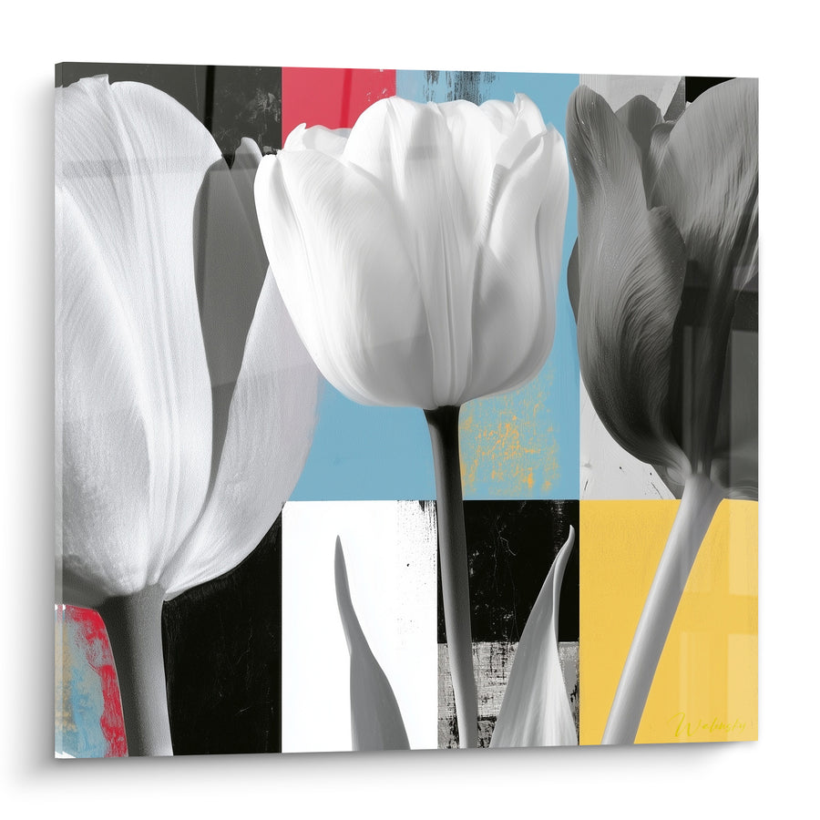 Tableau Tulipes blanches sur fond bleu ciel et jaune - Éveil printanier - Edition Tulipe