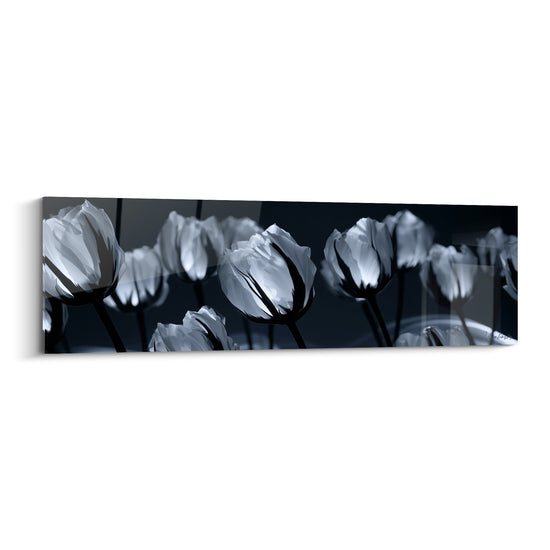 Tulipes blanches aux tiges noires se déployant sur un fond bleu nuit anthracite profond