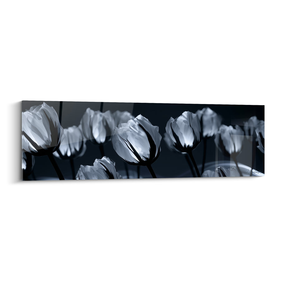 Tableau Tulipes blanches et noires en rangée nocturne - Tiges élancées contrastées - Edition Tulipe