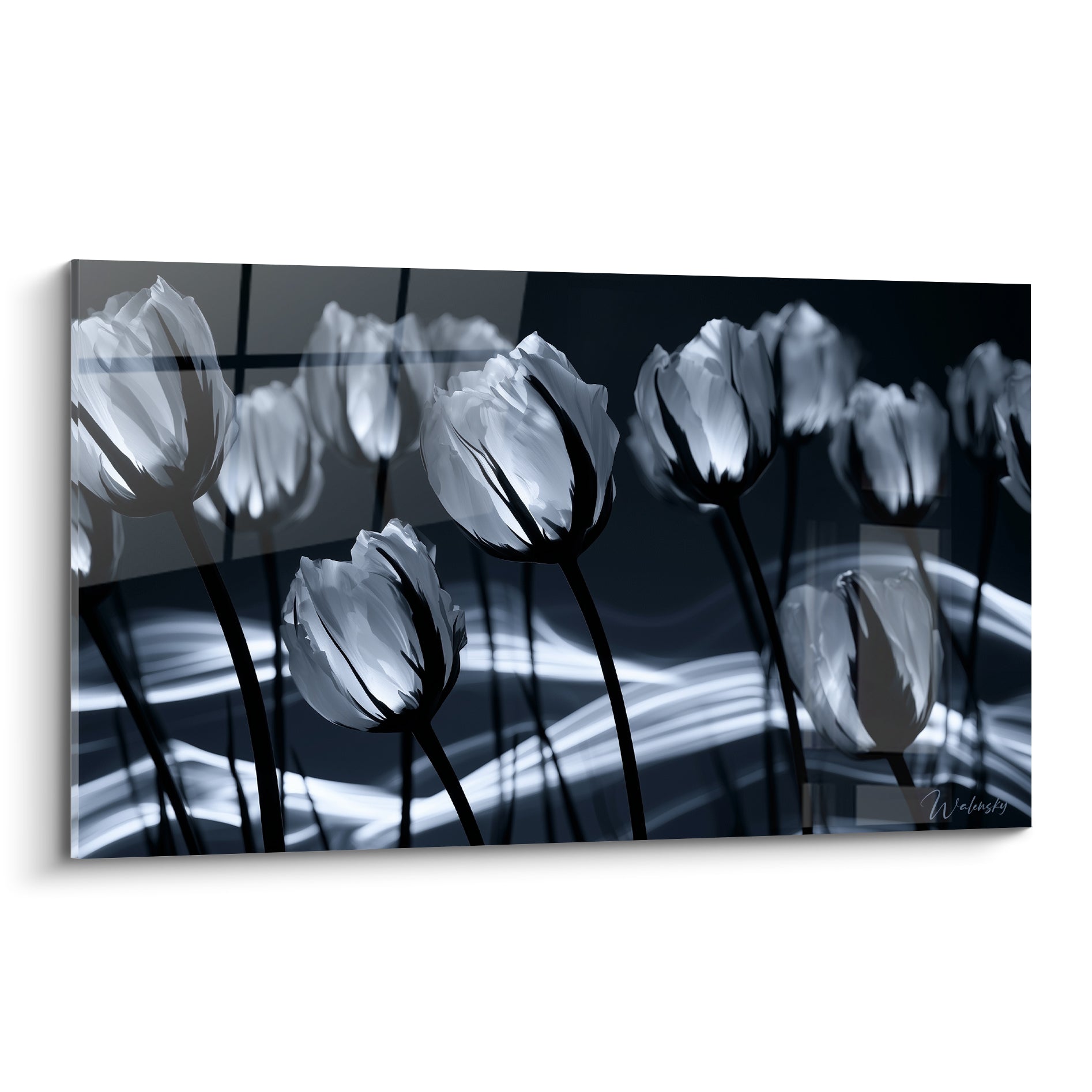 Tulipes blanches dressées sur fond bleu marine, tiges noires graphiques et vagues lumineuses
