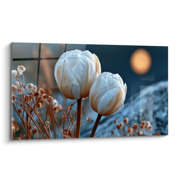 Tableau Tulipes blanches aux nervures ambrées - Veillée sous la lune - Edition Tulipe
