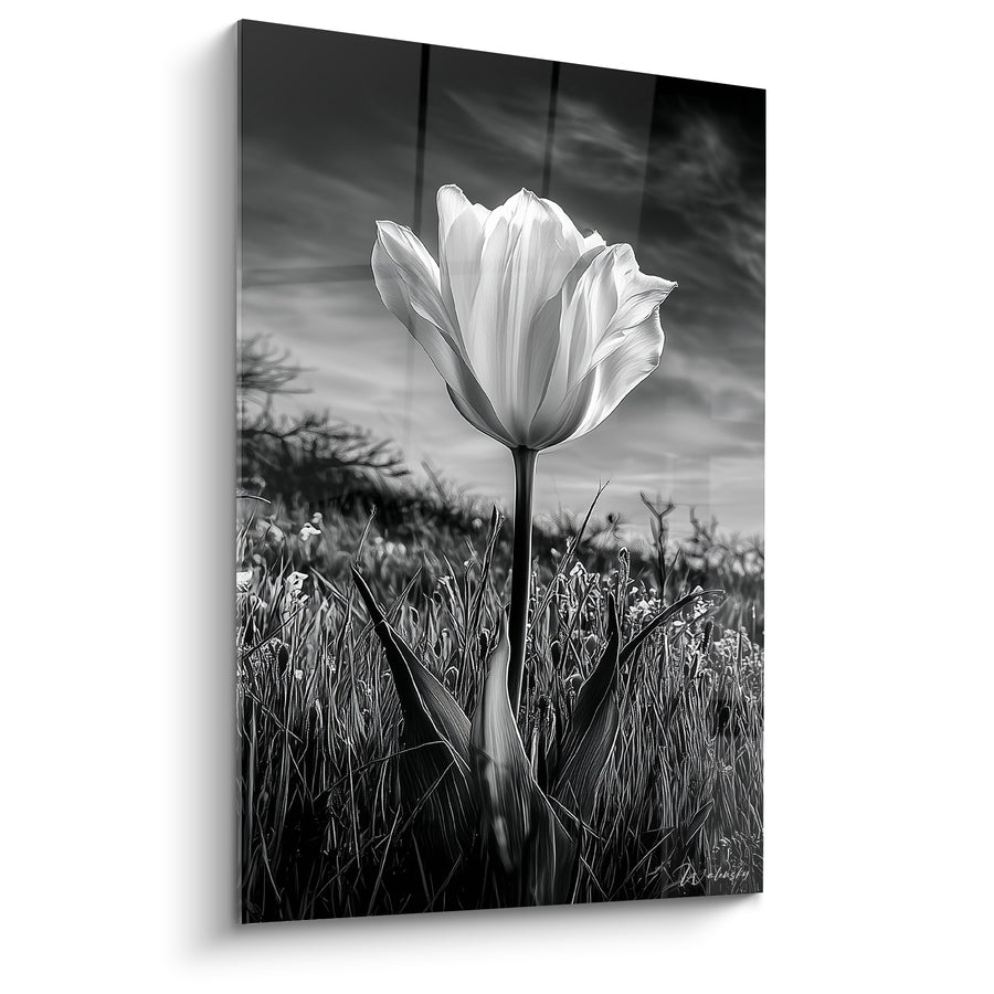 Tableau Tulipe blanche et noire dans les hautes herbes - Ciel nuageux dramatique - Edition Tulipe