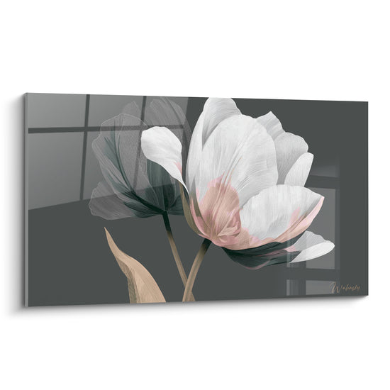 Tulipe blanche aux pétales translucides et cœur rose pâle sur fond anthracite profond