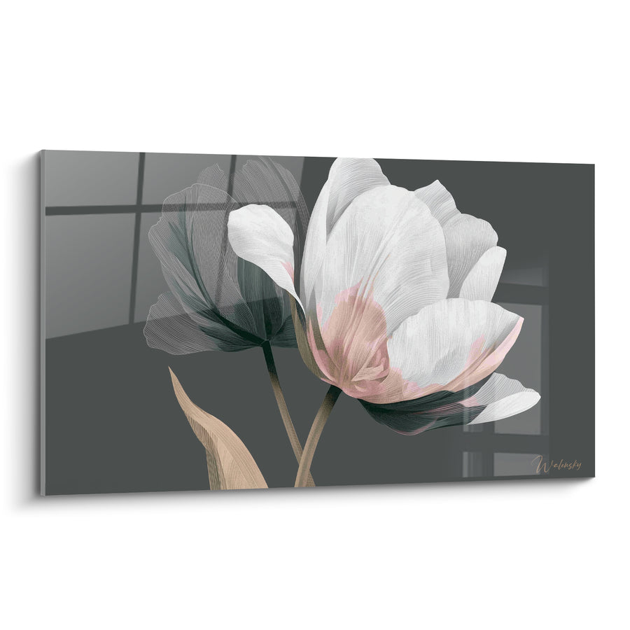 Tableau Tulipe blanche aux pétales roses translucides - Douceur translucide - Edition Tulipe