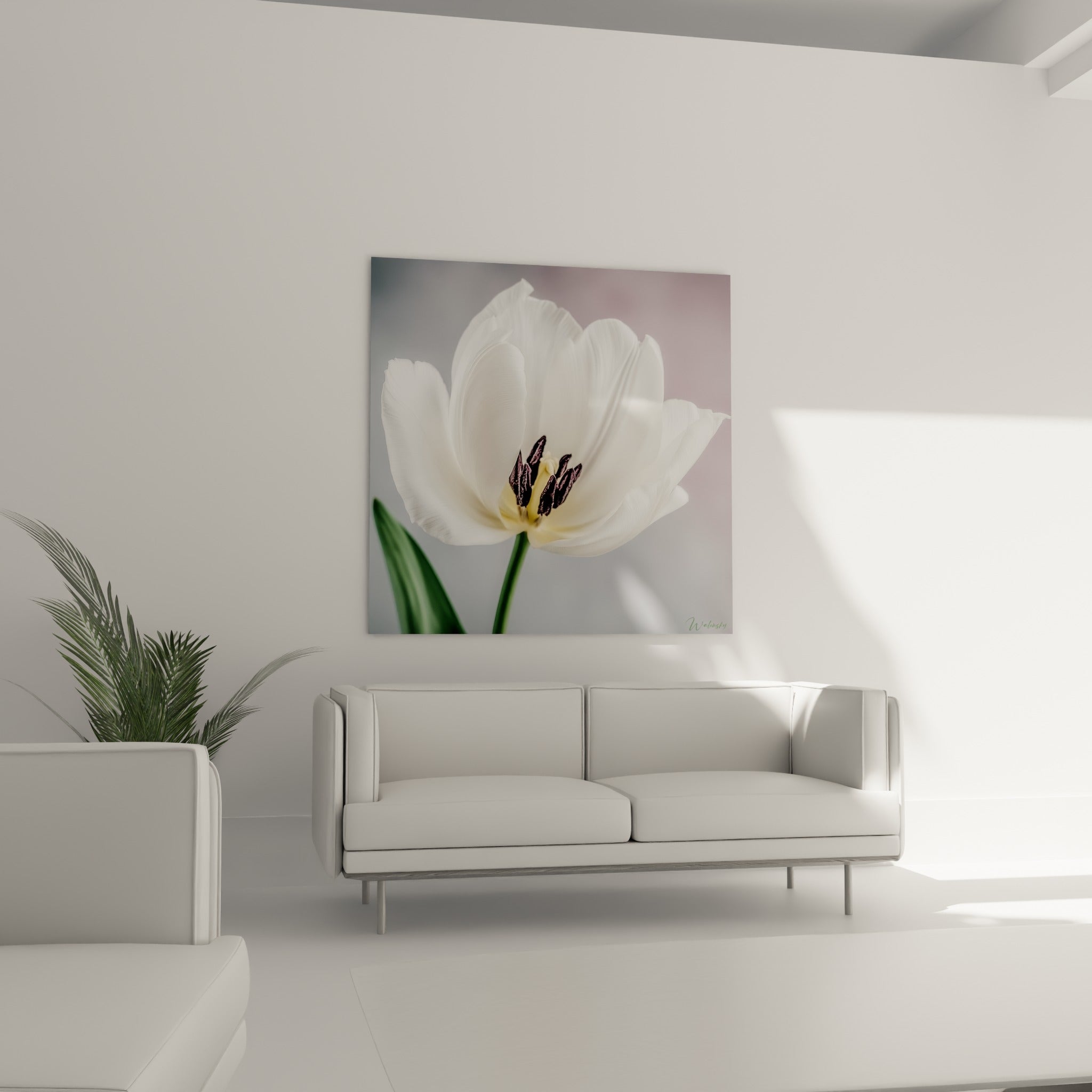 Fleur blanche à cœur pourpre et tige verte, disposée au-dessus d'un canapé dans un salon lumineux