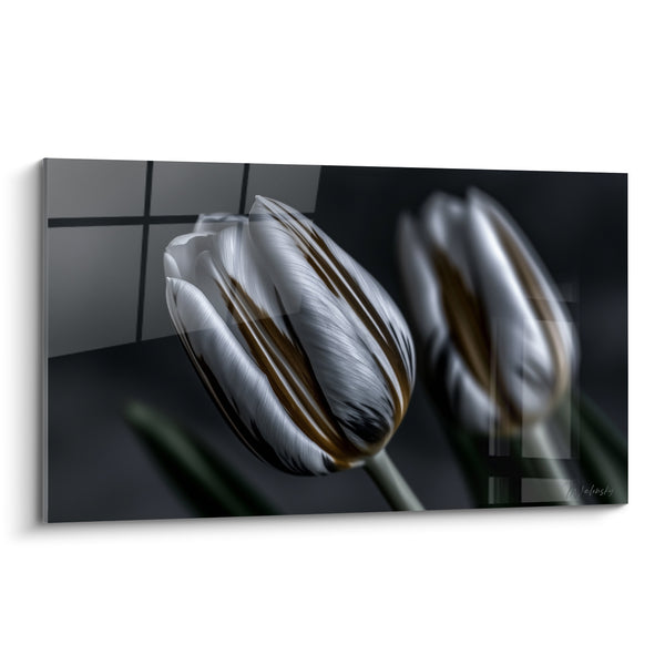 Tableau Tulipe blanche et brune aux fines rayures - Vitrage sombre géométrique - Edition Tulipe