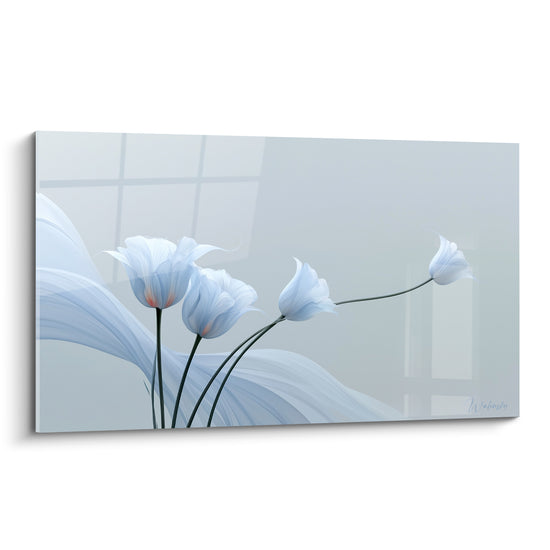 Tulipe blanche aux pétales nacrés se déploie sur fond gris, voiles bleu pastel ondulants