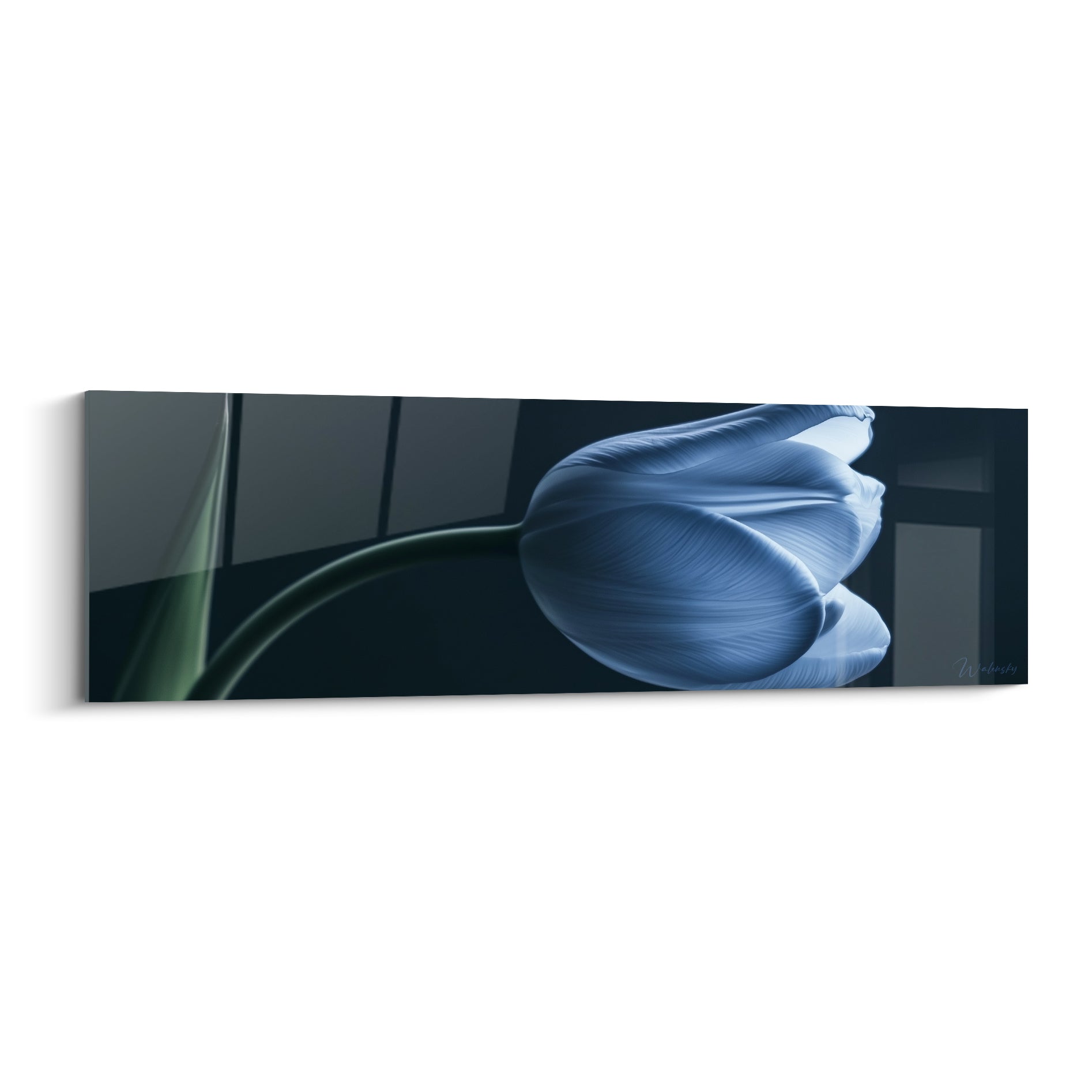 Tulipe aux pétales bleu marine translucides et tige vert anthracite sur fond géométrique sombre