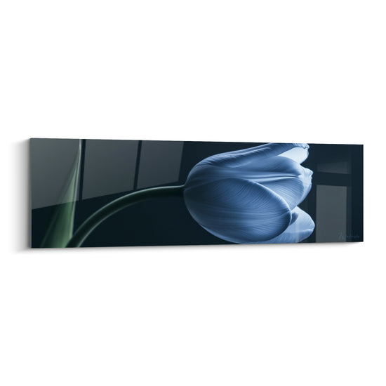 Tulipe aux pétales bleu marine translucides et tige vert anthracite sur fond géométrique sombre