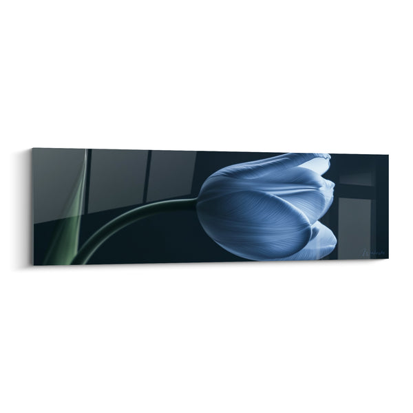 Tableau Tulipe radiographiée bleu et vert anthracite - Lueur silencieuse - Edition Tulipe