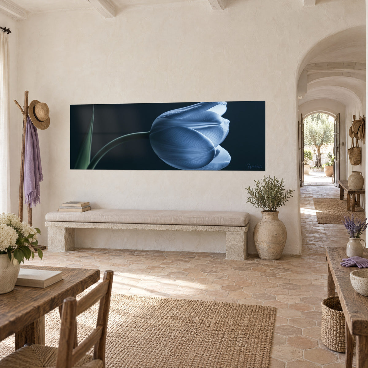 Tableau tulipe radiographiée aux pétales bleu pâle et nervures fines, tige vert sombre, sur mur crème d'un mas provençal