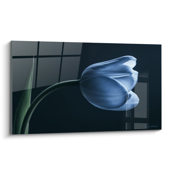 Blau-schwarzes Tulpenbild vor einem Fenster - Dunkles Glasreflex - Tulpen-Edition