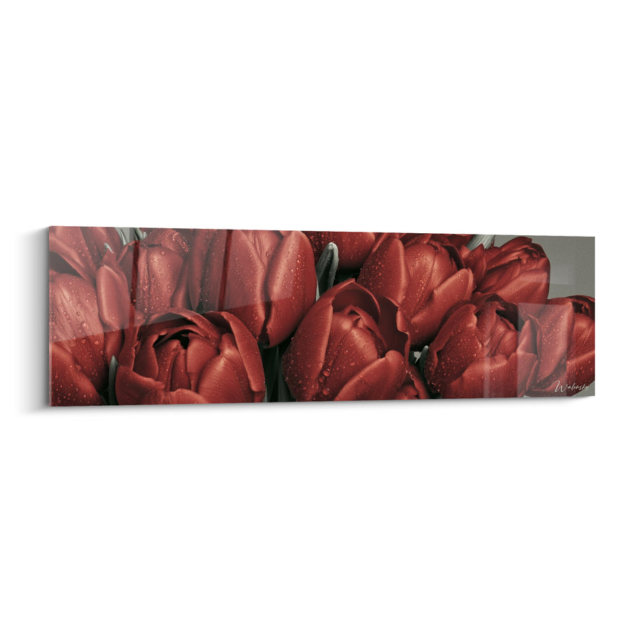 Tableau Tulipes rouges et grises perlées de gouttelettes - Bouquet serré compact - Edition Tulipe