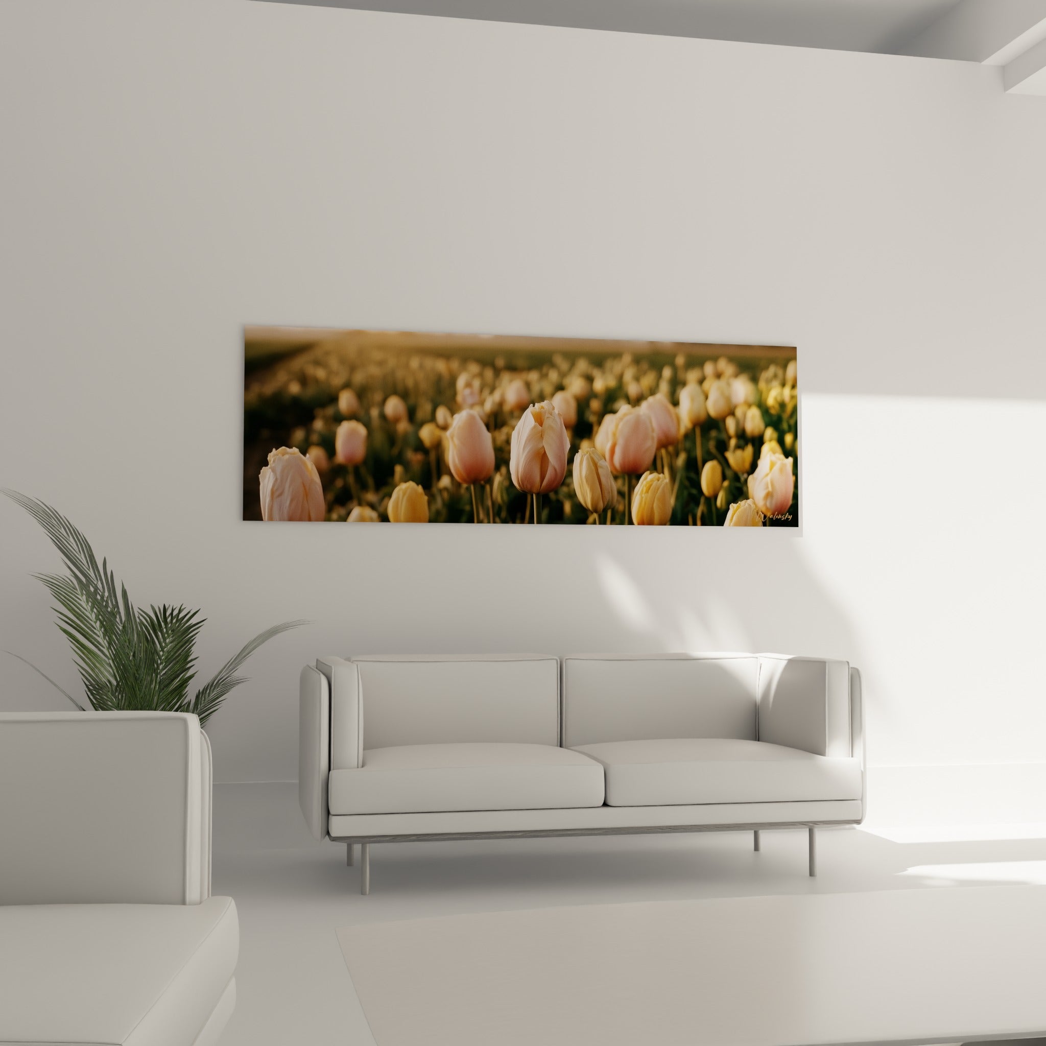 Tulipes dorées et roses en rangs serrés, accrochées au-dessus d'un canapé dans un salon lumineux