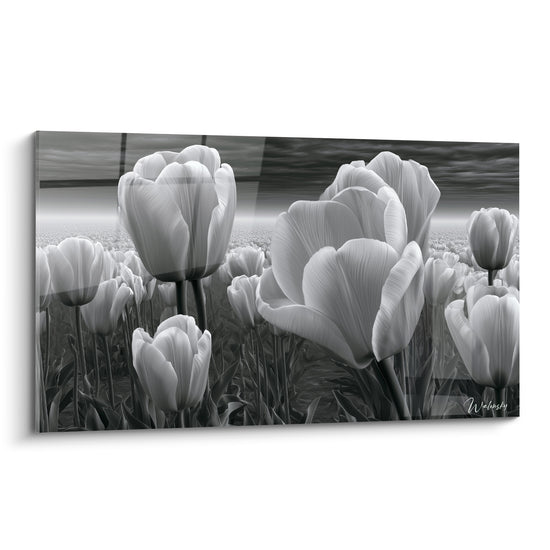 Tulipes blanches en gros plan devant un ciel gris anthracite orageux et texturé