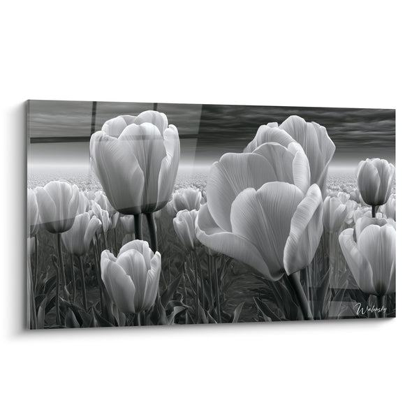 Tableau Champ de tulipes blanches et anthracite - Calme avant l'orage - Edition Tulipe