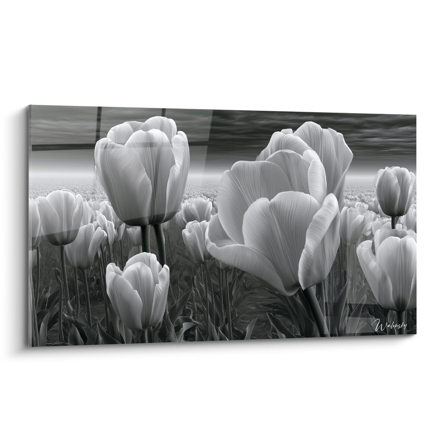 Tableau Champ de tulipes blanches et anthracite - Calme avant l'orage - Edition Tulipe