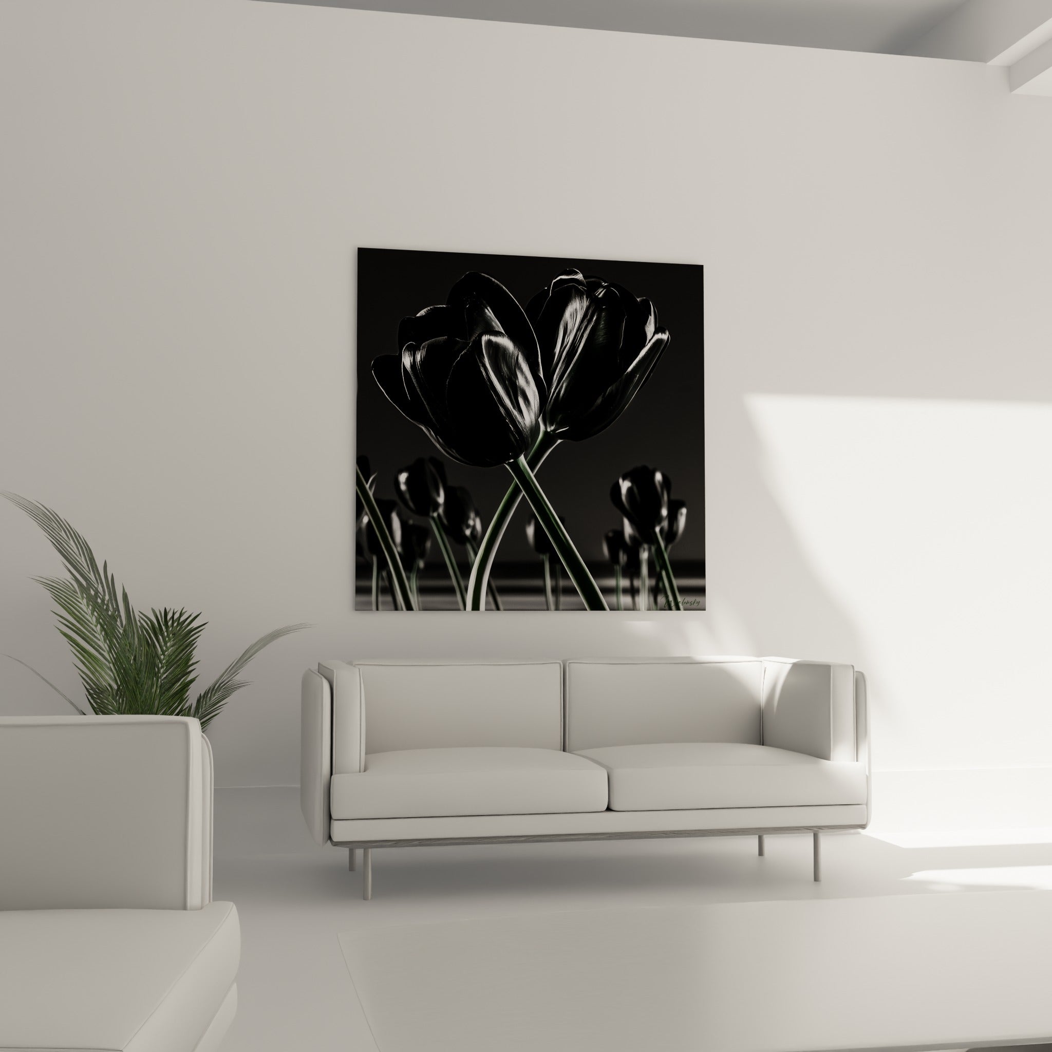 Tulipes noires aux tiges vertes croisées, contraste marqué avec le fond gris, au-dessus d'un canapé dans un salon lumineux