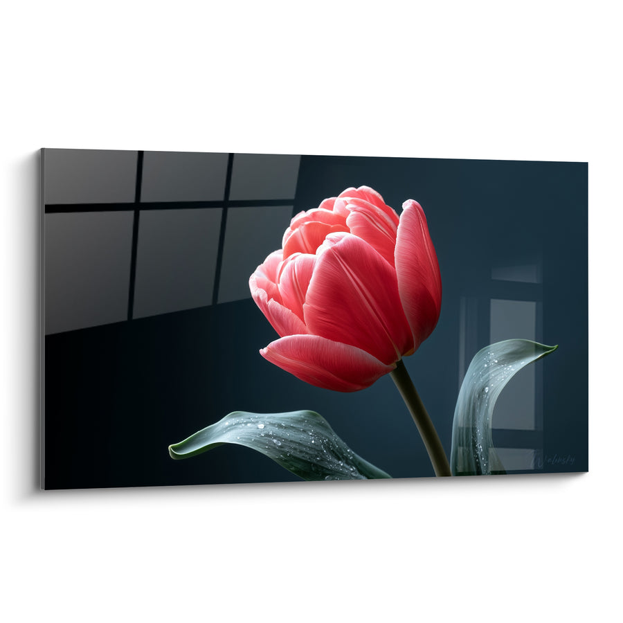 Tableau Tulipe rose et anthracite gouttes de rosée - Éveil hivernal - Edition Tulipe