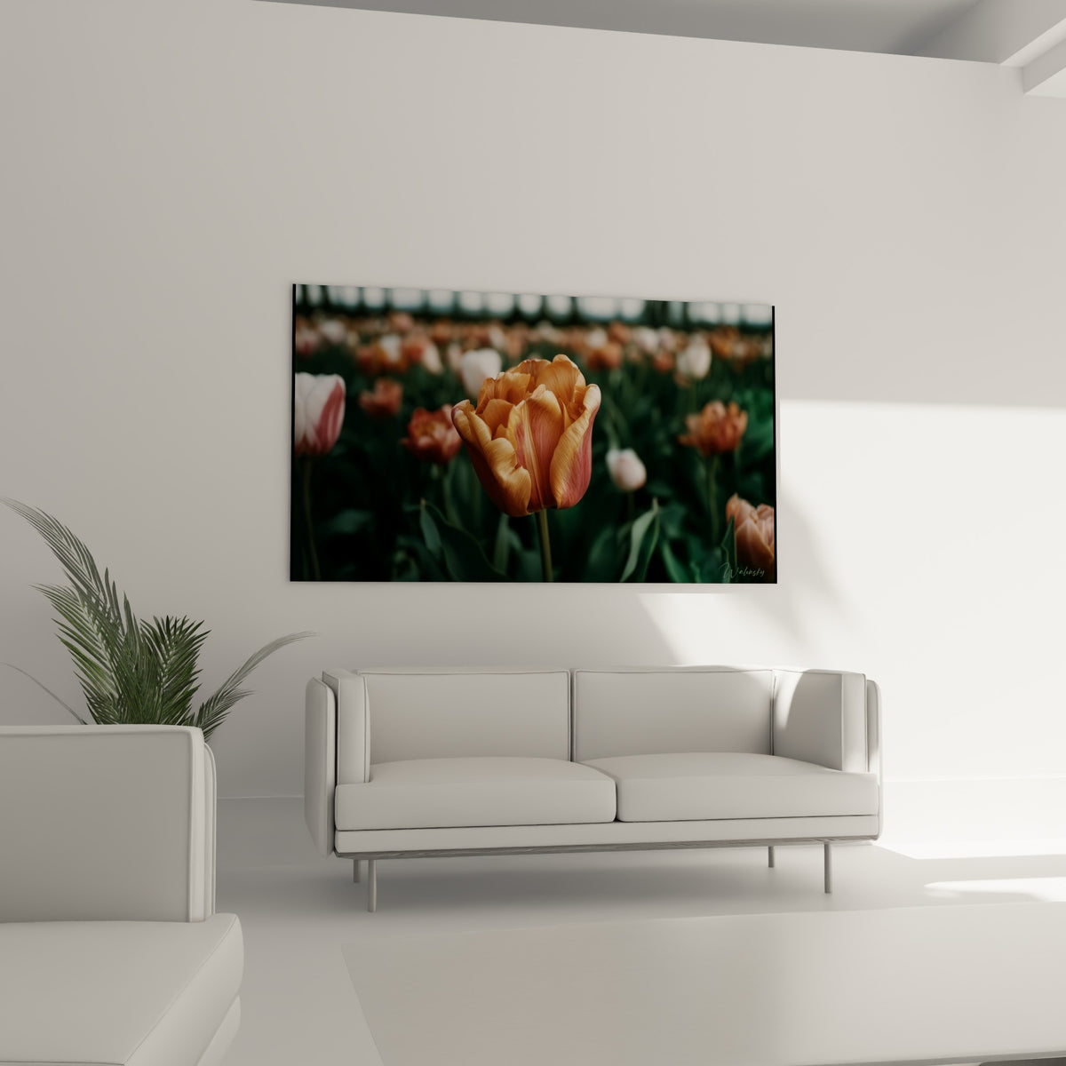 Fleur veloutée aux teintes corail et anthracite disposée au-dessus d'un canapé dans un salon lumineux