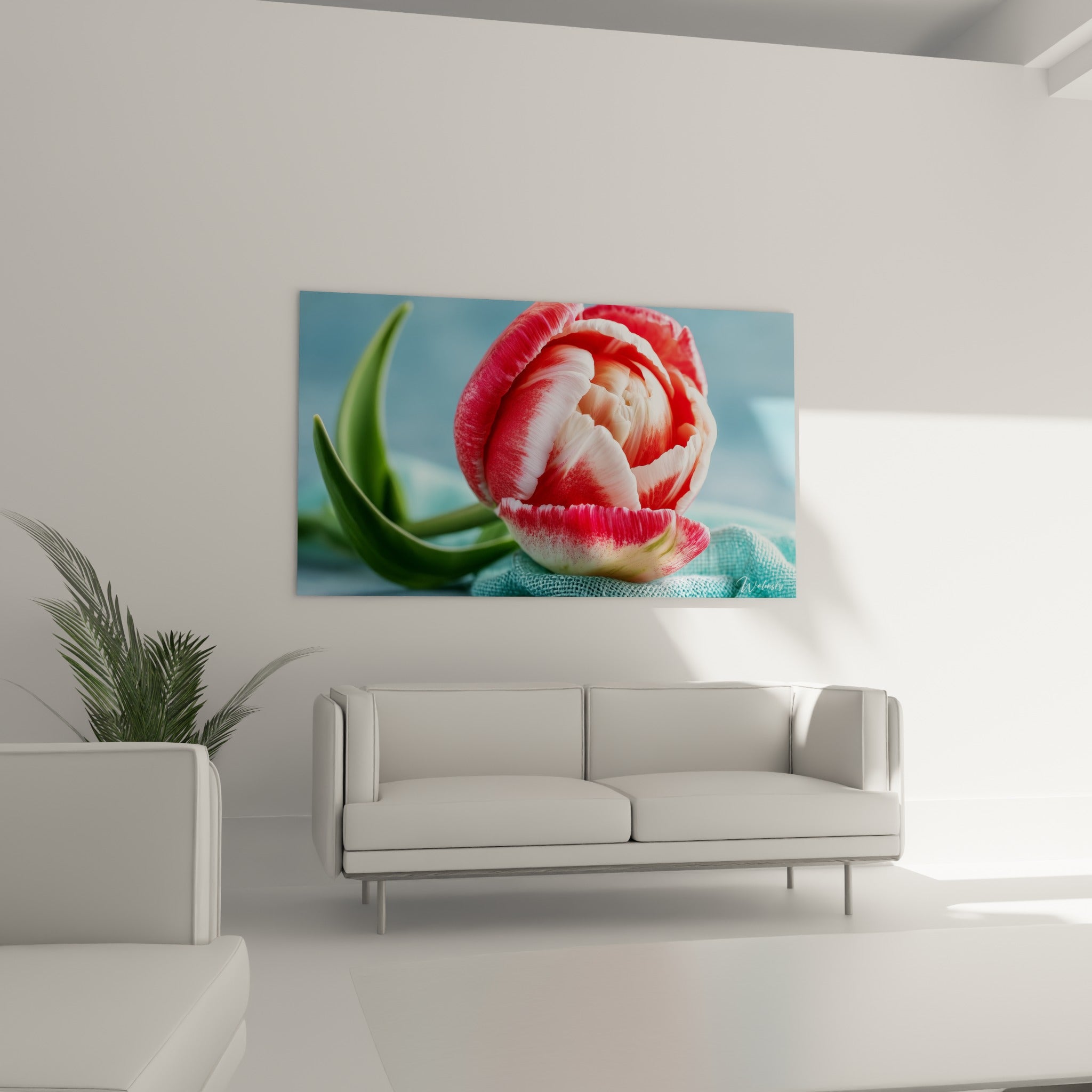 Tige verte incurvée et fleur rose corail de la tulipe accrochées au-dessus d'un canapé dans un salon lumineux