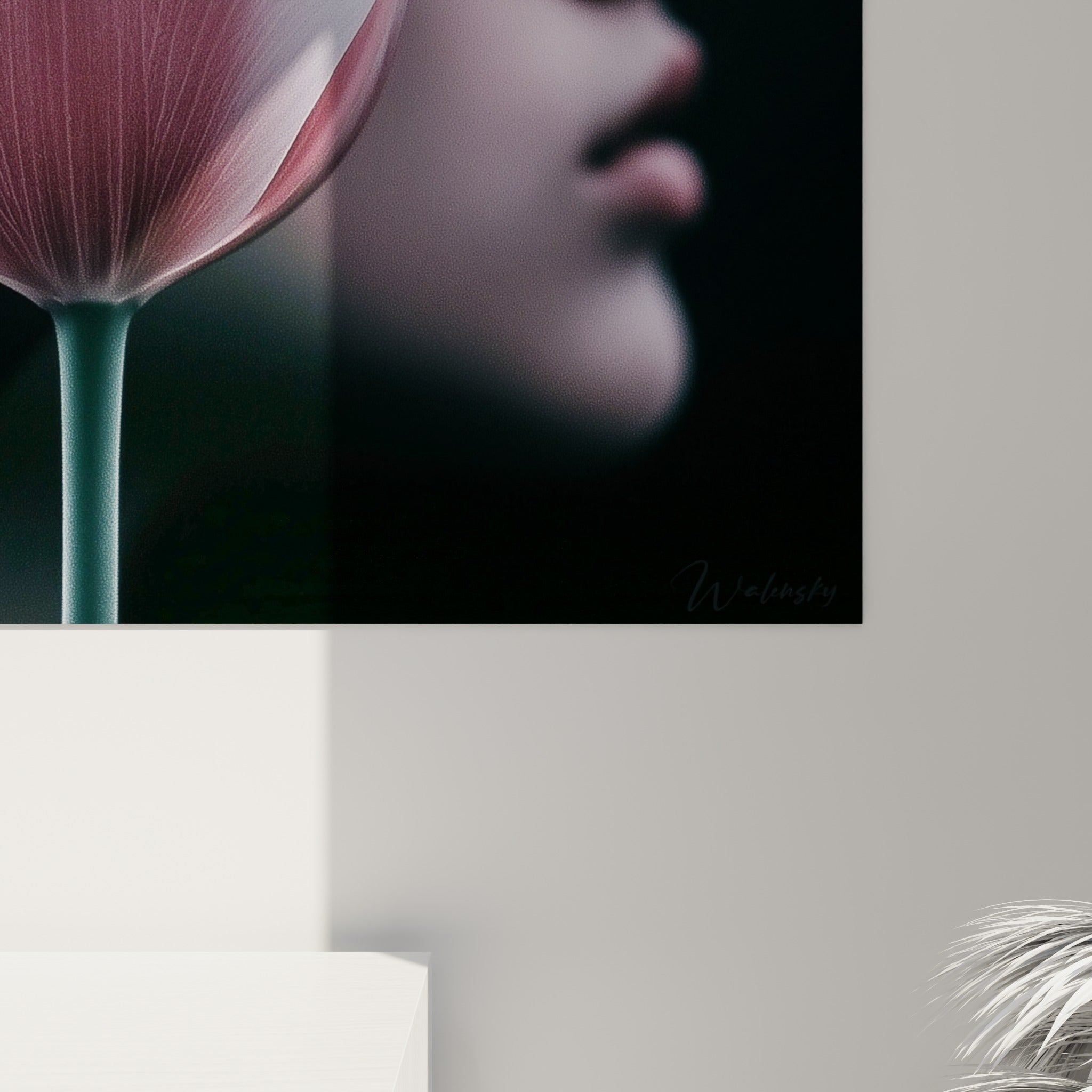 Nervures fines de la tulipe rose et blanche, grain photographique et lumière nacrée en détail rapproché