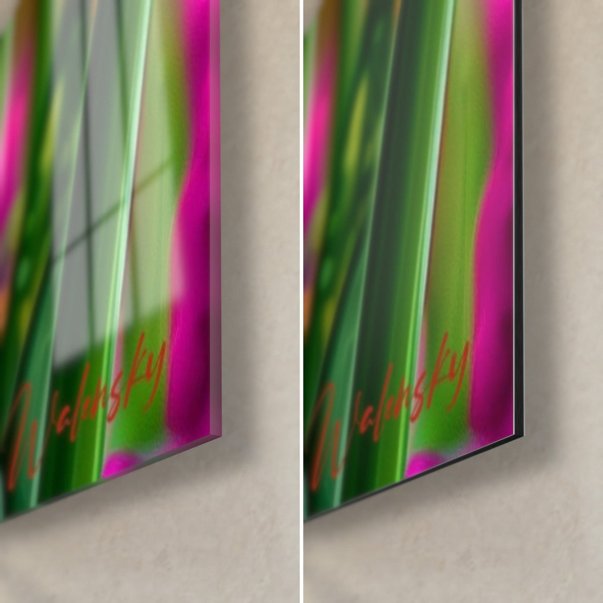 Tableau tulipe aux feuilles vertes brillantes et bord rose fuchsia, coin bas droit : verre acrylique brillant, Dibond mat, tranche