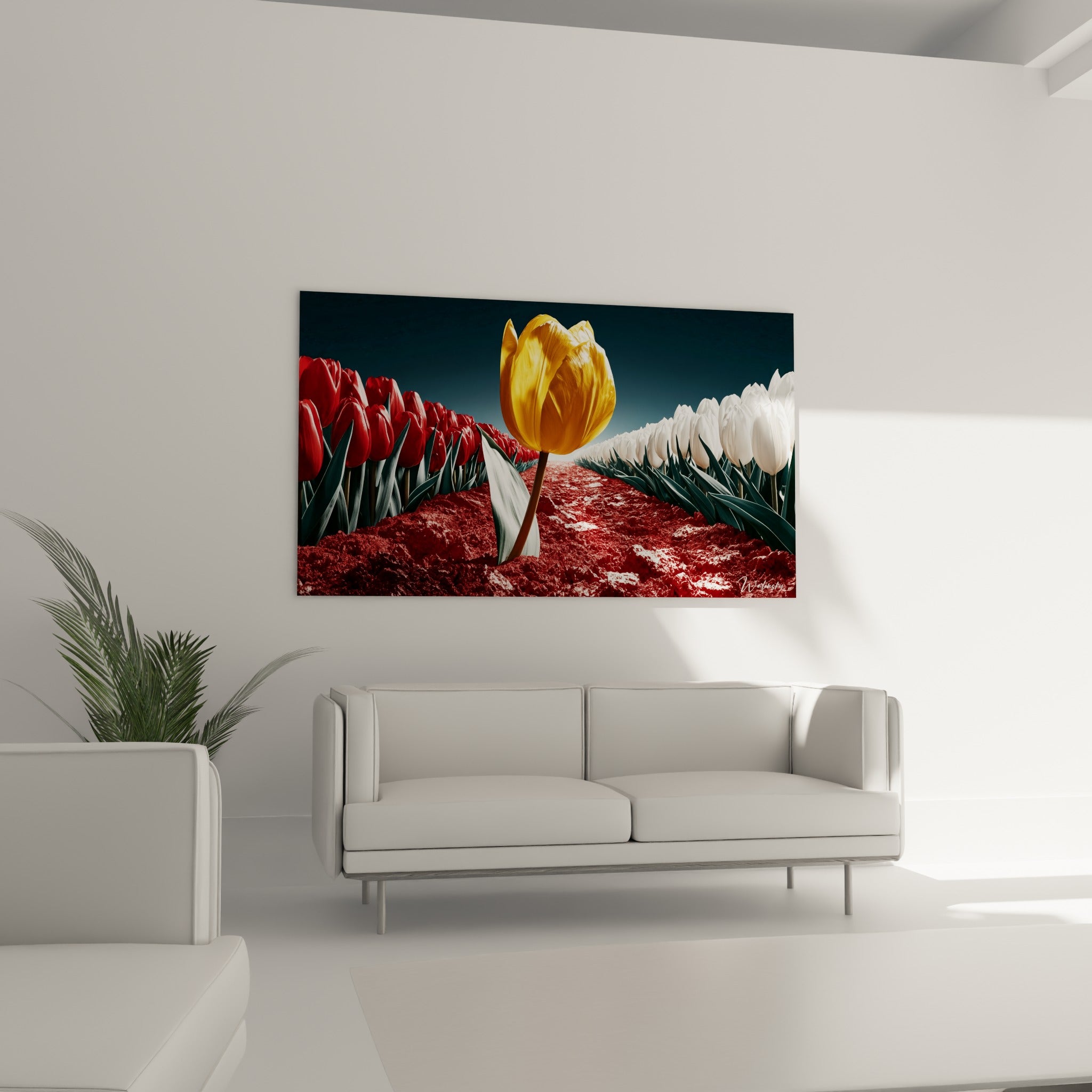 Tulipe jaune vif entre rangs rouges et blancs, au-dessus d'un canapé dans un salon lumineux