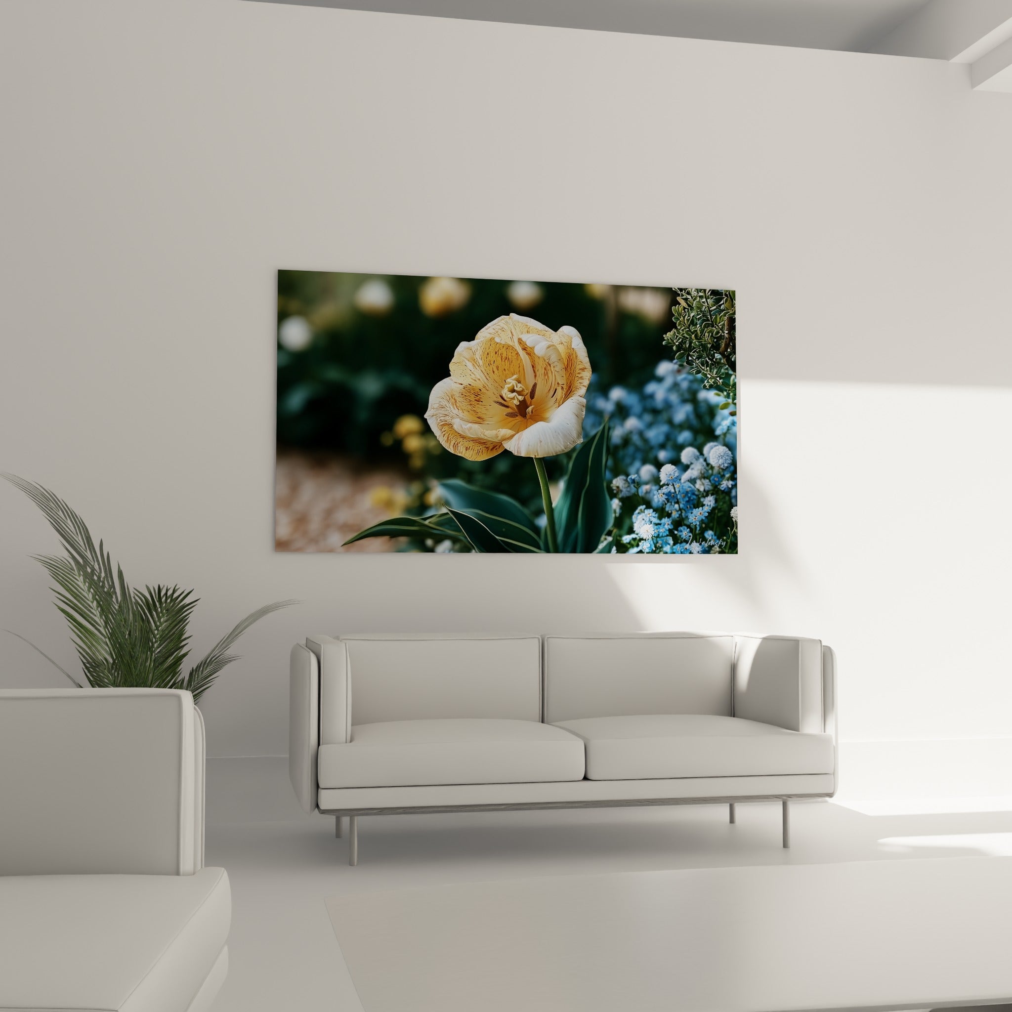 Fleur ivoire tachetée de cuivre et safran, disposée au-dessus d'un canapé dans un salon lumineux.