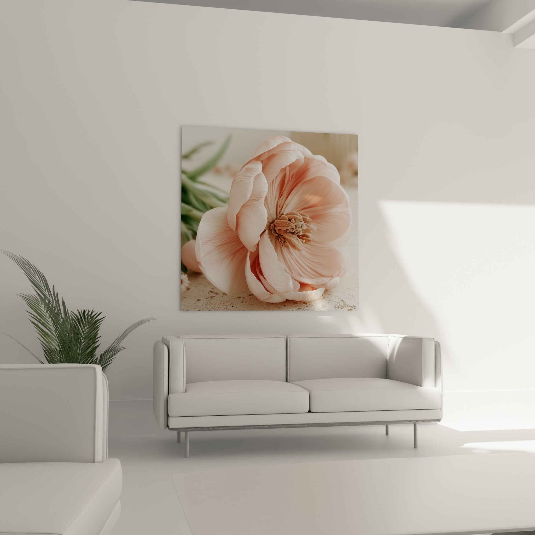 Fleur de tulipe rose pâle et crème aux nervures fines, suspendue au-dessus d'un canapé dans un salon lumineux