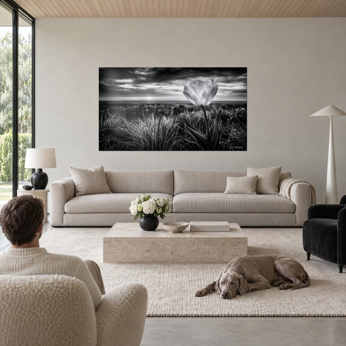 Tableau tulipe blanche en noir et blanc sur fond de prairie et ciel d'orage, homme de dos et chien, au-dessus d'un canapé dans un salon lumineux