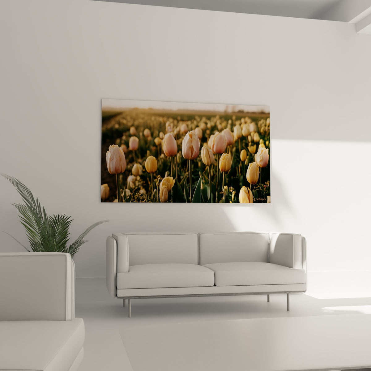Fleurs de tulipes crème et roses au premier plan net, disposées au-dessus d'un canapé dans un salon lumineux