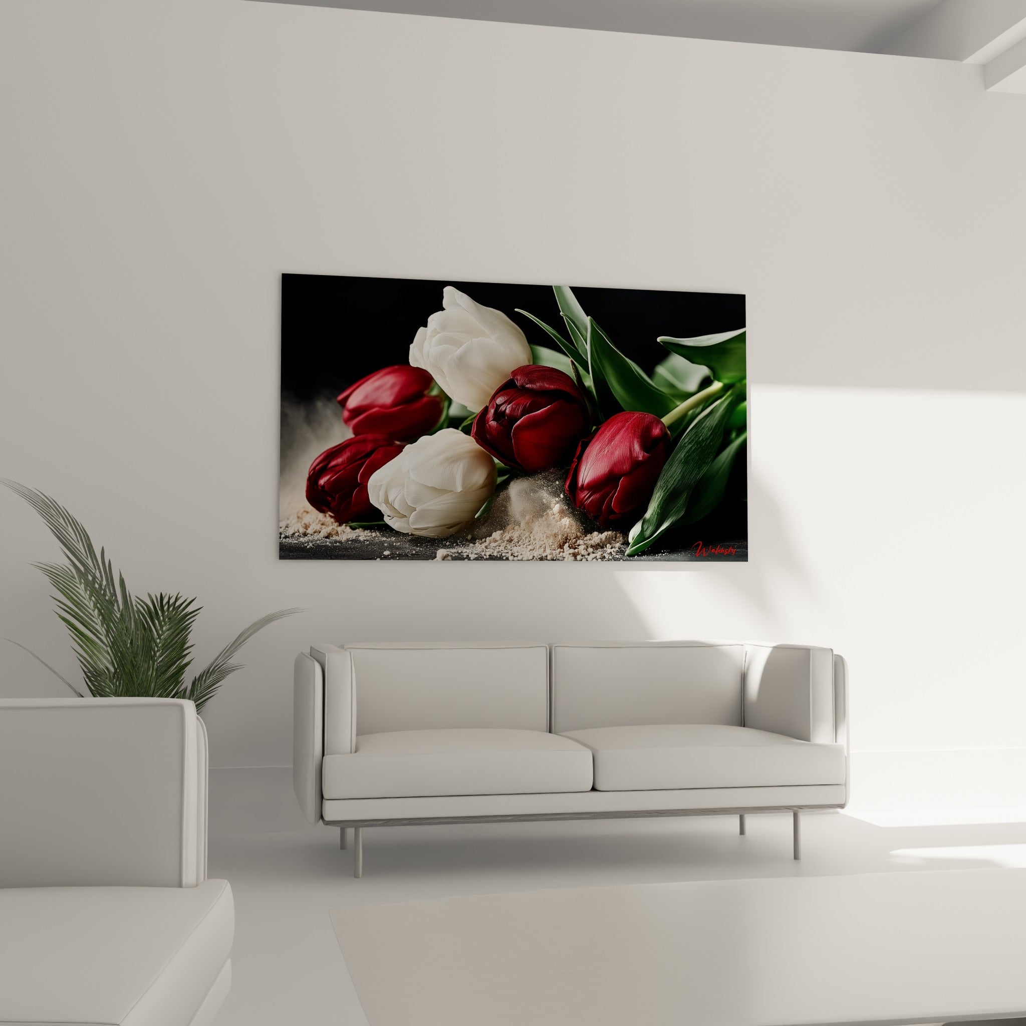 Corolles de tulipes blanches et bordeaux profond installées au-dessus d'un canapé dans un salon lumineux