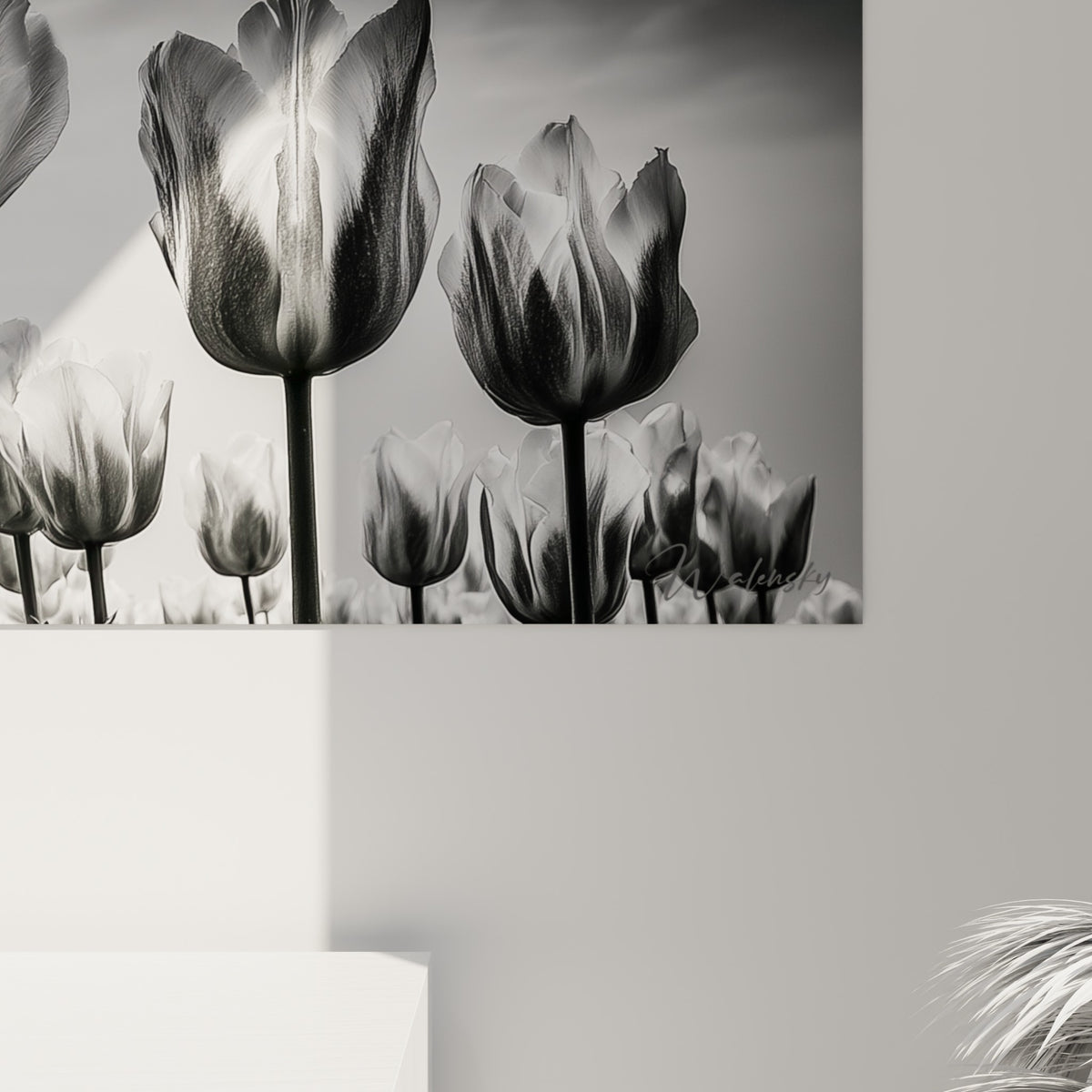 Grain photographique visible sur pétales blancs nacrés et tiges anthracite d'une tulipe en gros plan