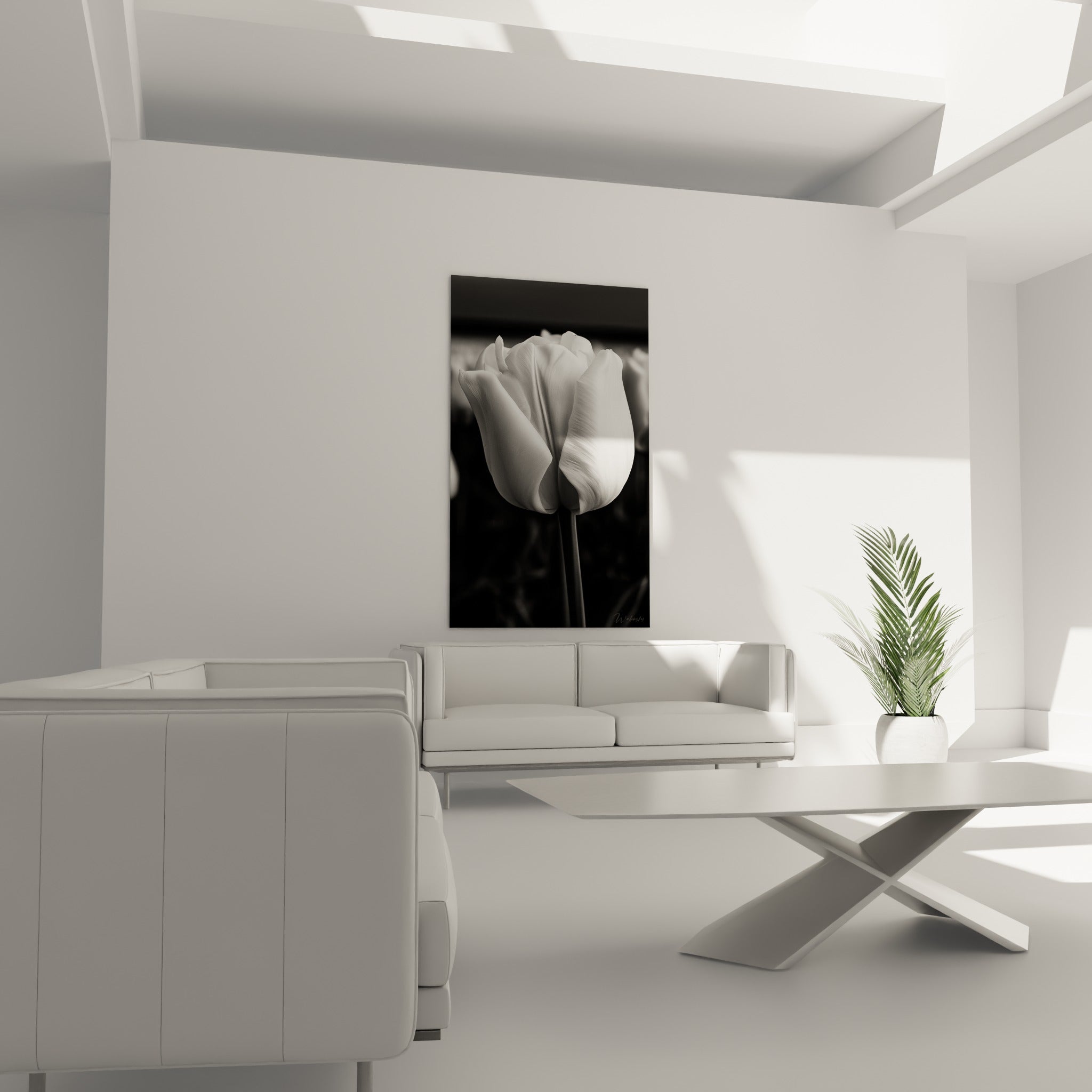Tulipe monochrome blanche et grise déployant ses pétales, accrochée au-dessus d'un canapé dans un salon lumineux