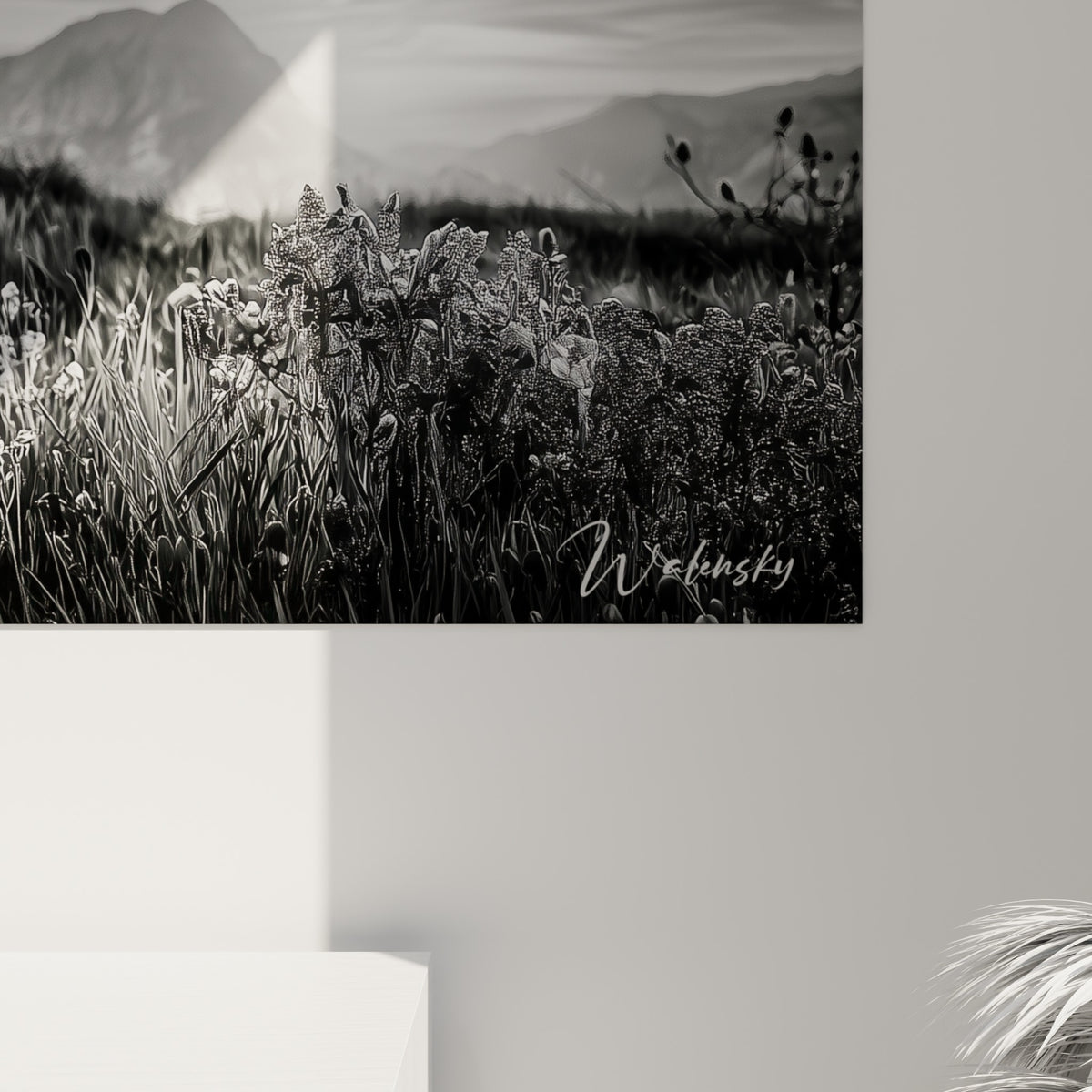 Grain photographique révélant les nuances de gris du ciel et le blanc pur des pétales de la tulipe accrochée