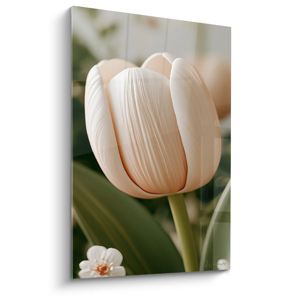 White and Peach Tulip Painting with Fine Veins - Neighboring White Flower - Tulip Edition