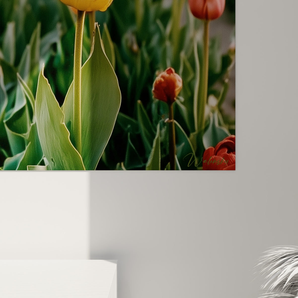 Grain photographique visible sur les pétales jaunes et corail de la tulipe, textures et flou artistique rapprochés