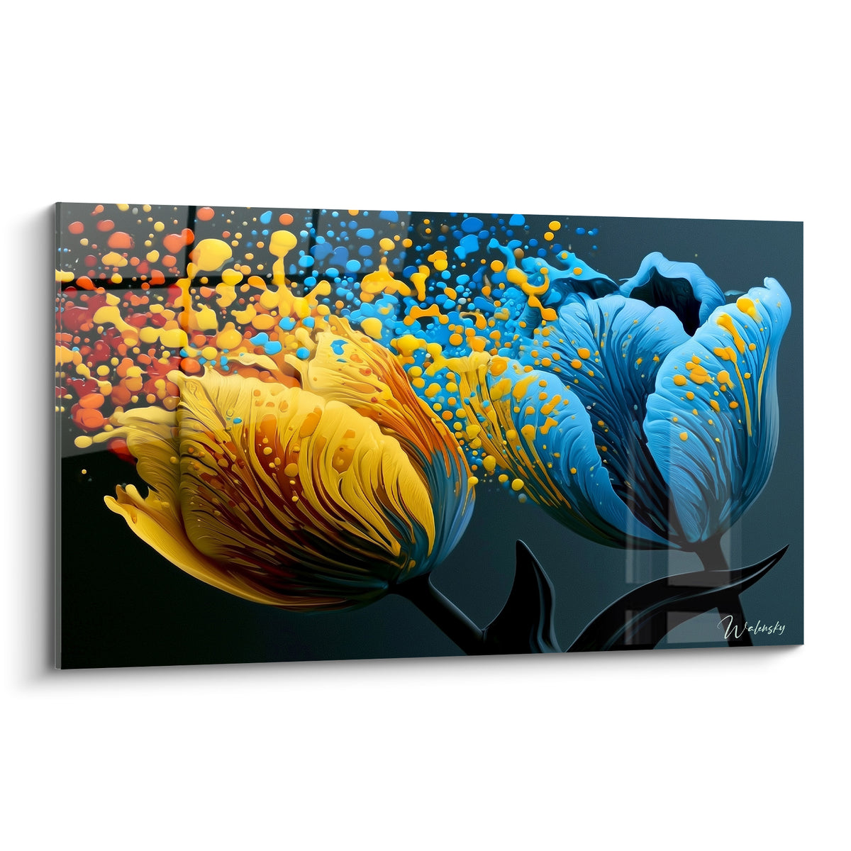 Tulipes jaune safran et bleu cobalt aux pétales éclatés sur fond anthracite dense