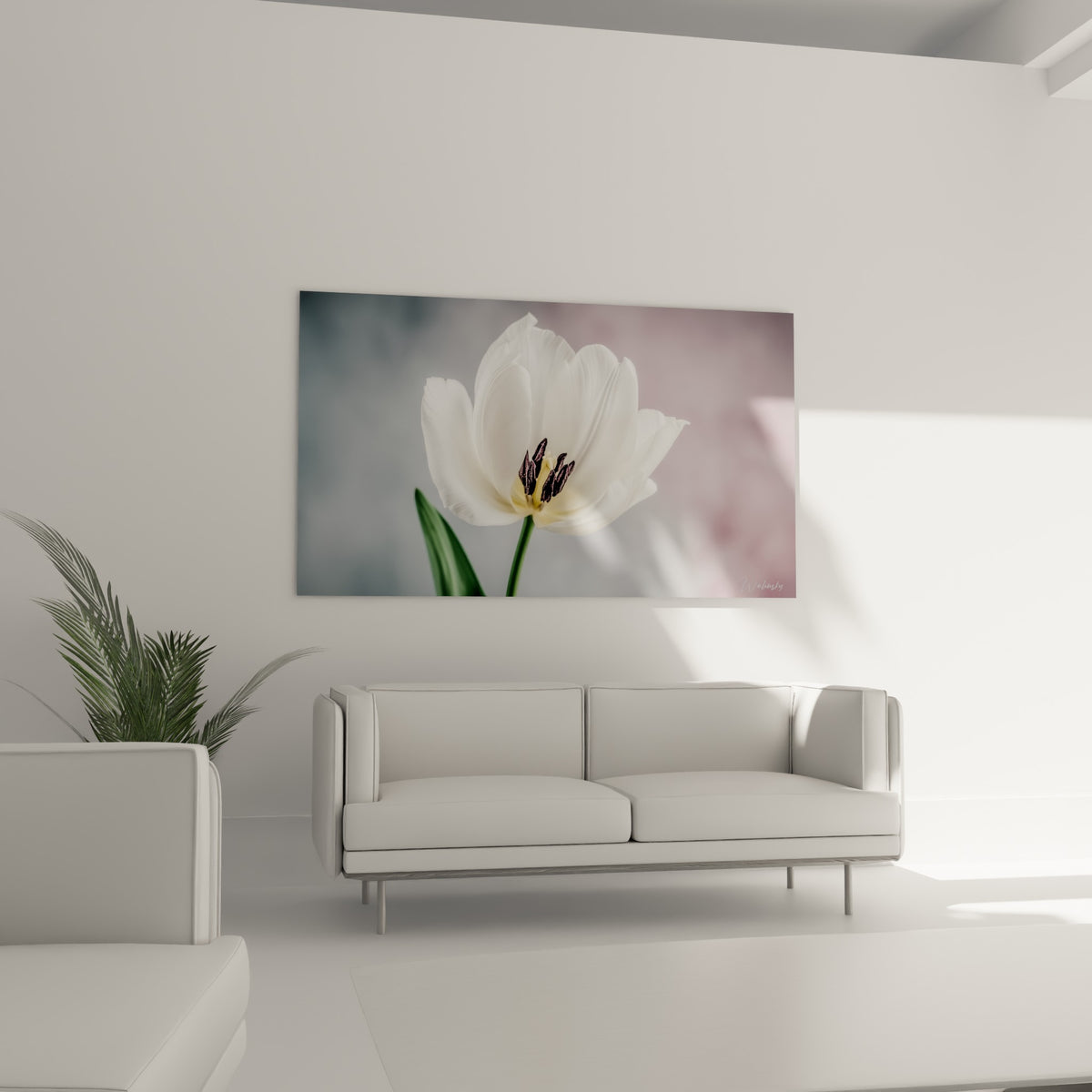 Fleur blanche translucide et tige vert émeraude accrochée au-dessus d'un canapé dans un salon lumineux