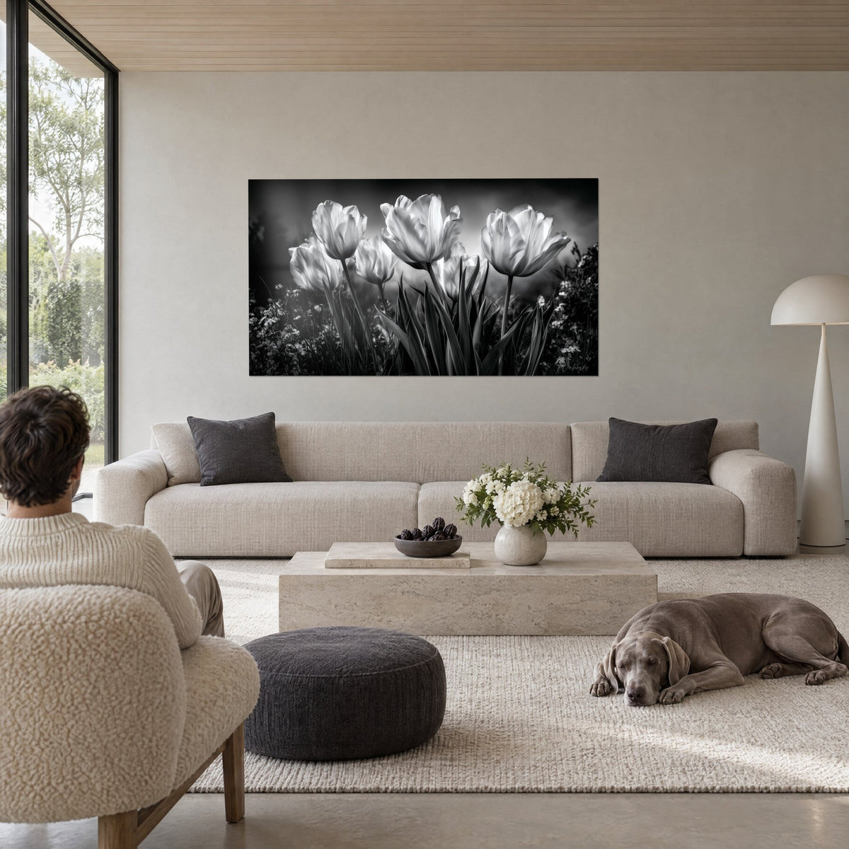Cuadro tulipanes retroiluminados de pétalos plateados sobre fondo carbón, weimaraner gris tumbado, encima de un sofá en un salón luminoso