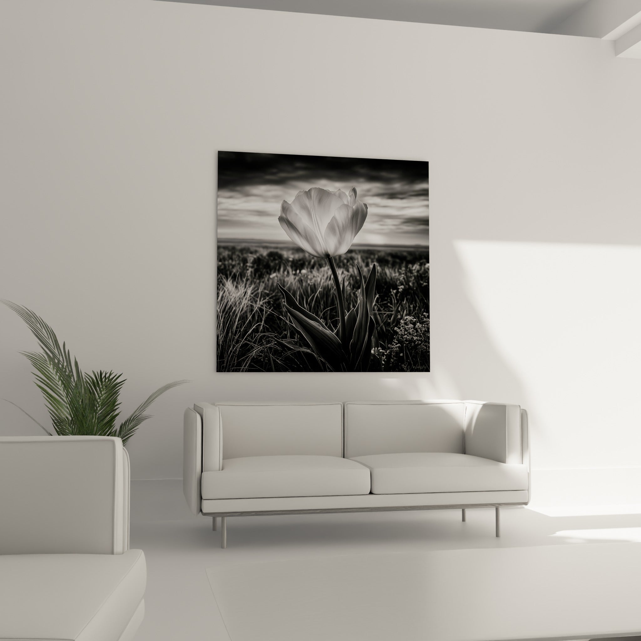 Pétales blancs et feuillage sombre de la tulipe accrochés au-dessus d'un canapé dans un salon lumineux