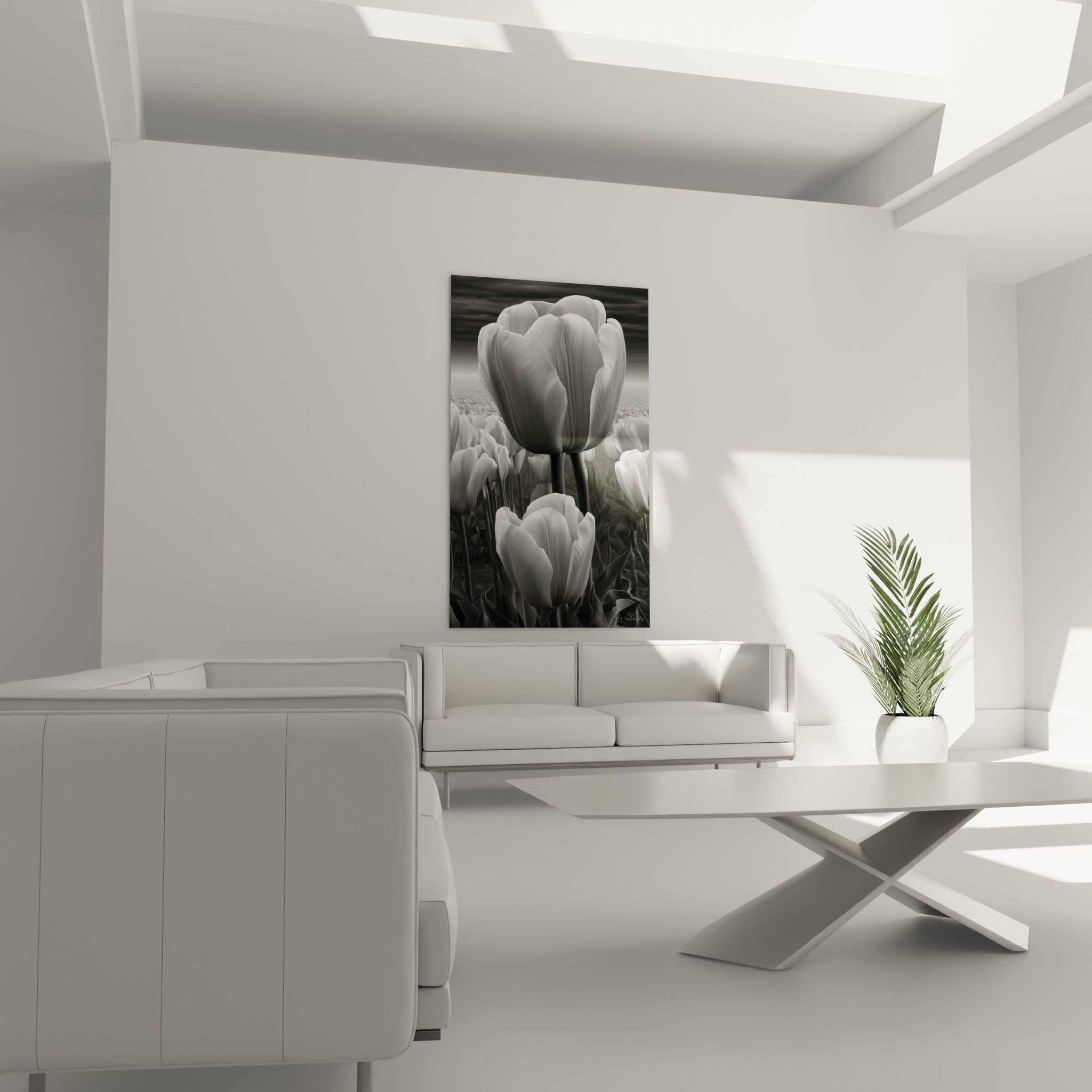 Tulipes grises aux pétales soyeux disposées au-dessus d'un canapé dans un salon lumineux