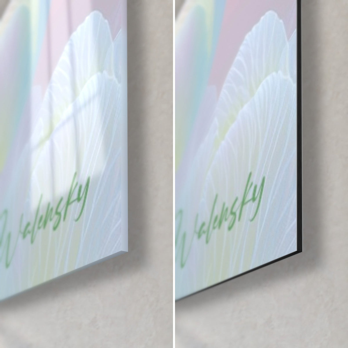 Wall art with a tulip with white veins, bottom right corner: glossy acrylic glass on the left, matte black Dibond on the right, 3 mm edge