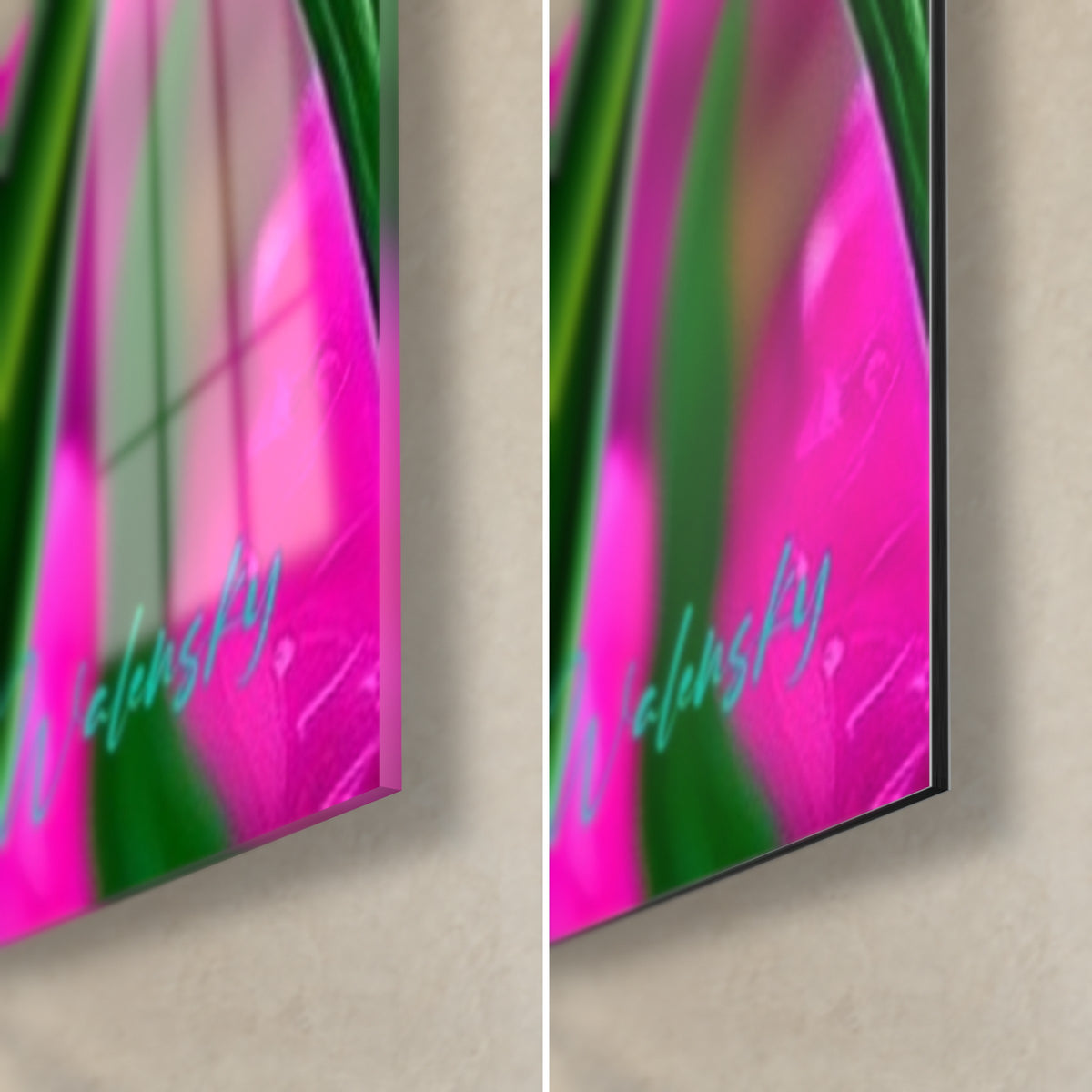 Wall art magenta tulip, bottom right corner: glossy acrylic glass on the left, matte Dibond aluminum on the right, 3 mm edge