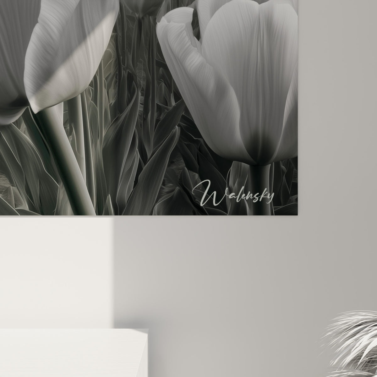 Pétales de tulipe blanche aux nervures fines se détachant sur un fond de nuages gris sombres