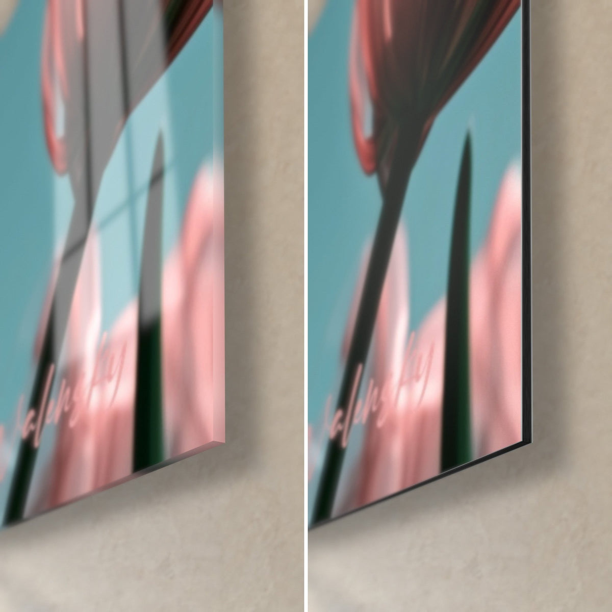 Wall art Salmon-pink tulips on a turquoise background, lower right corner: glossy acrylic glass on the left, matte black Dibond aluminium on the right